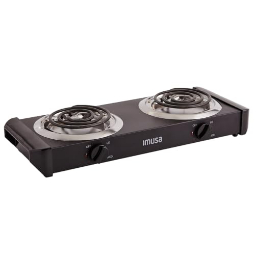 Double Electric Burner