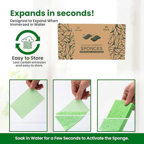 Cellulose Sponges