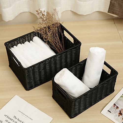 Storage Baskets for Shelves