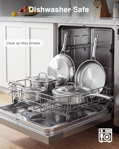 Titanium Pans for Cooking (Titanium / 12-Inch)