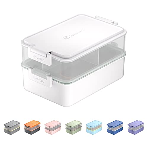Bento Box Series