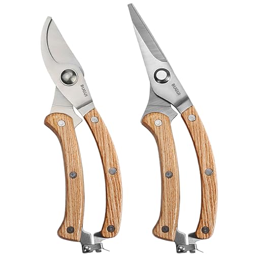 Pruning Scissors
