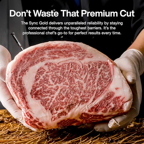 Sync Wireless WiFi Meat Thermometer