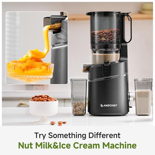 Cold Press Juicer