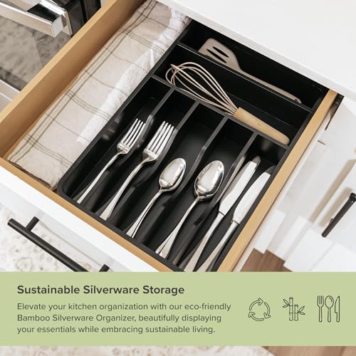 Expandable Spice Rack Organizer for Cabinet