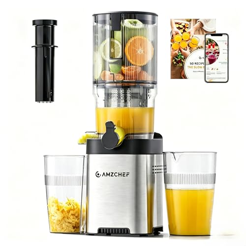Cold Press Juicer