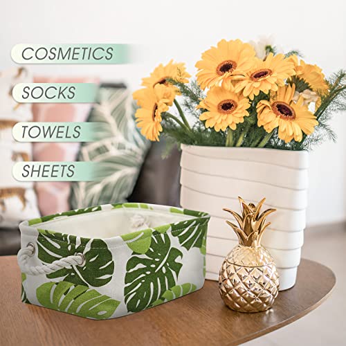 Storage Basket for Organizing