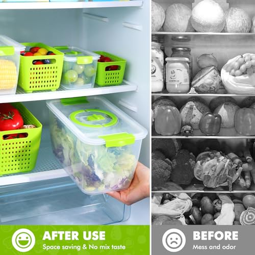 fruit containers diswasher safe