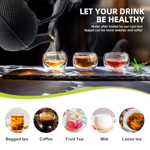 Japanese Tetsubin Tea Kettle Cast Iron Teapot with Stainless Steel Infuser