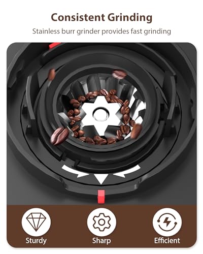 Aromaster Burr Coffee Grinder (Titanium Black)