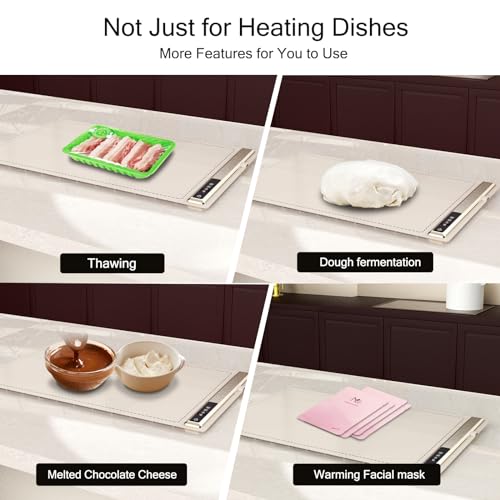 Electric Warming Tray
