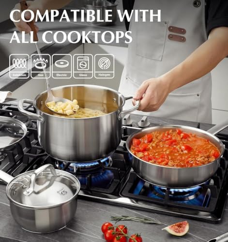 Stainless Steel Cookware Set 17 Piece with Triply Base (Class Silver / 17 Pcs)