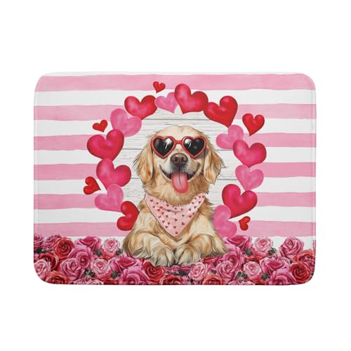 Dish Drying Mat Dishes Pad Absorbent Fast Dry Dish Drainer Mat Protector for Kitchen Counter…