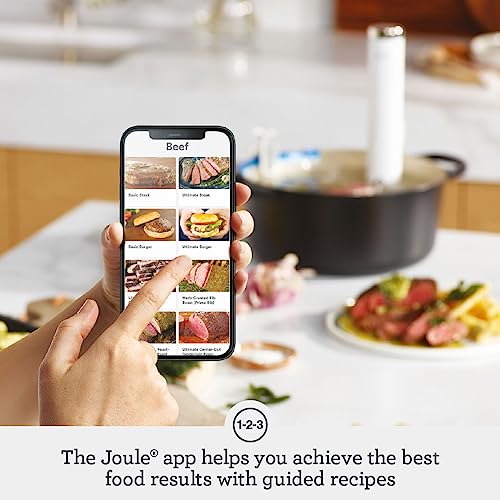 BSV600PSS Joule Turbo Sous Vide Machine (Small)