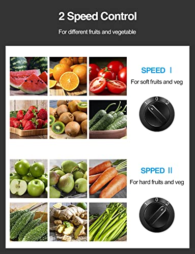 Centrifugal Juicer Machine