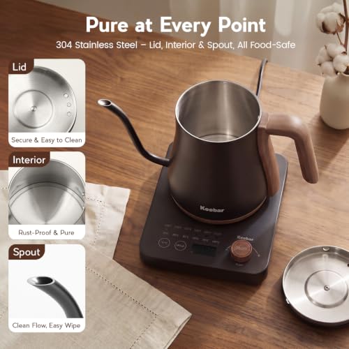 Electric Kettle