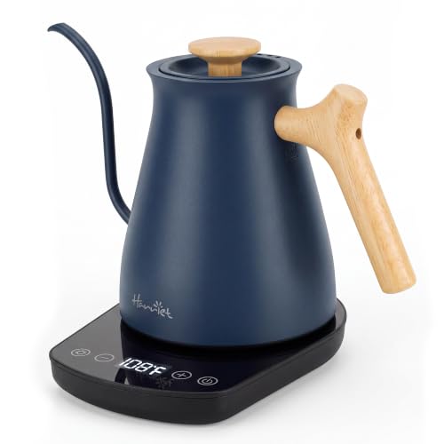 Electric Gooseneck Kettle