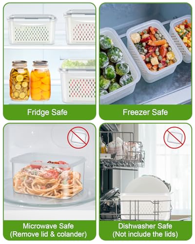 Fruit Storage Containers for Fridge