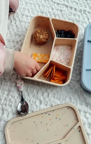 Silicone Bento Box