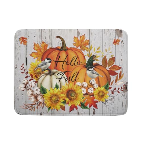 Dish Drying Mat Dishes Pad Absorbent Fast Dry Dish Drainer Mat Protector for Kitchen Counter…