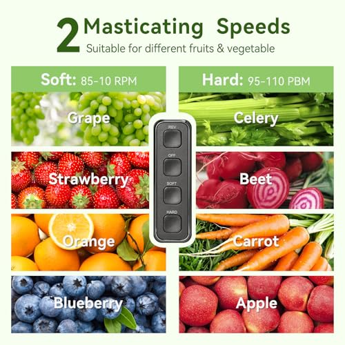 Slow juicer 2202 PR