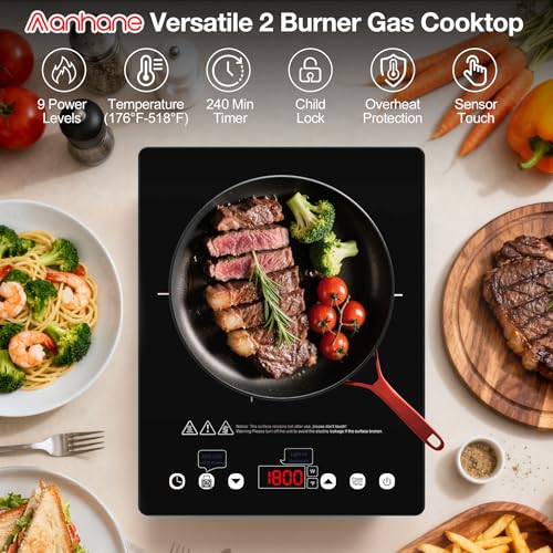 Portable Induction Cooktop 110v