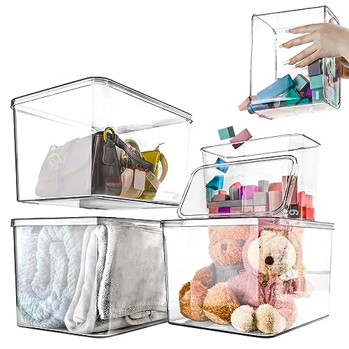 Clear Storage Bins With Lids