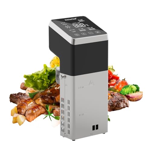 1400W Sous Vide Cooker (silver)