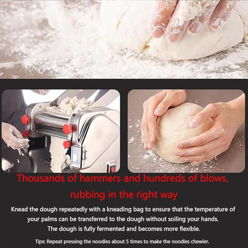 Automatic Pasta Maker Machine (RollerWidth24cm / KnifeWidth2/6mm)