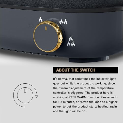 Hot Pot Electric with Divider