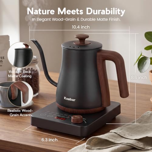 Electric Kettle