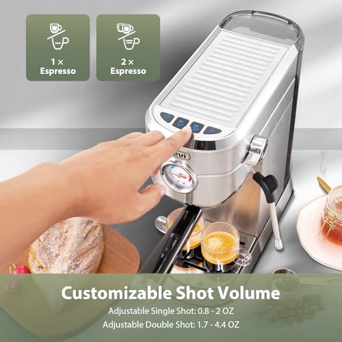 20 Bar Compact Espresso Machine for Home (Sterling Silver)