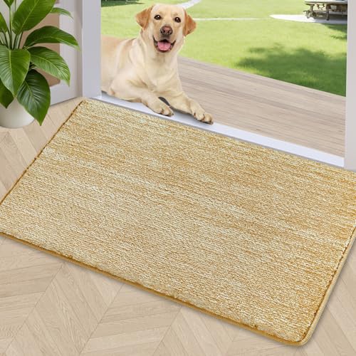 Indoor Doormat