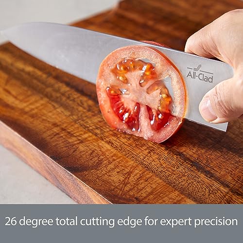 Forged Knives Carving Set (Silver/Black / 2-Piece Knife Set)