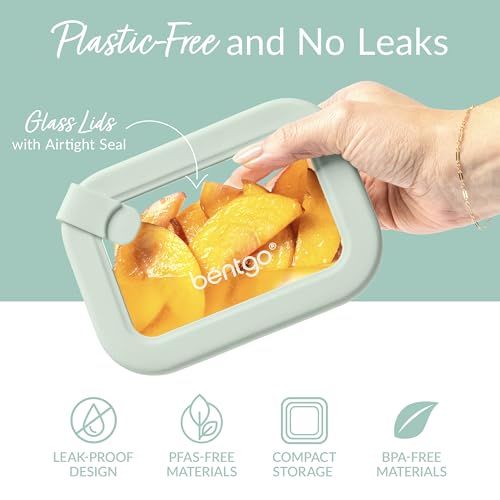 Signature Glass Food Storage Containers with Lids (Desert Sage)