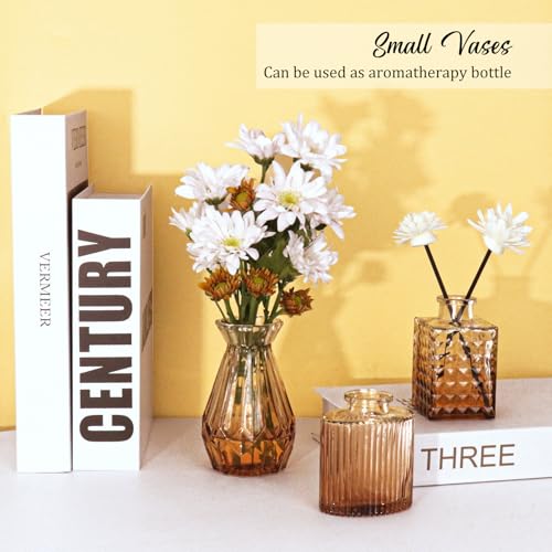 36Pcs Bud Vases Set Small Vintage Glass Bottles Bud Vases in Bulk Multiple Shape Cute Glass Vases for Rustic Wedding Centerpieces Table Decorations and Home Decor