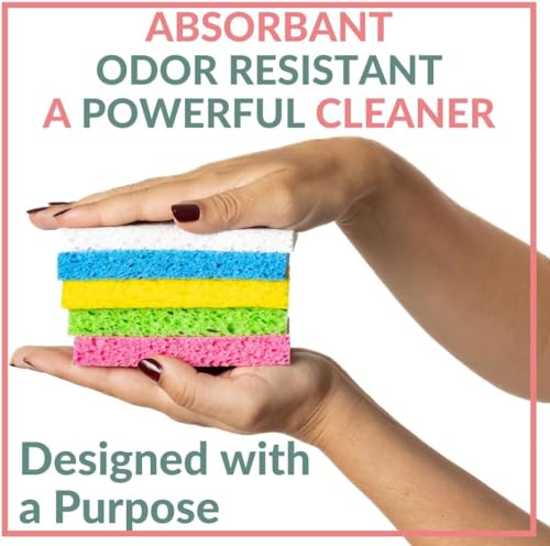 Biodegradable Kitchen Sponges