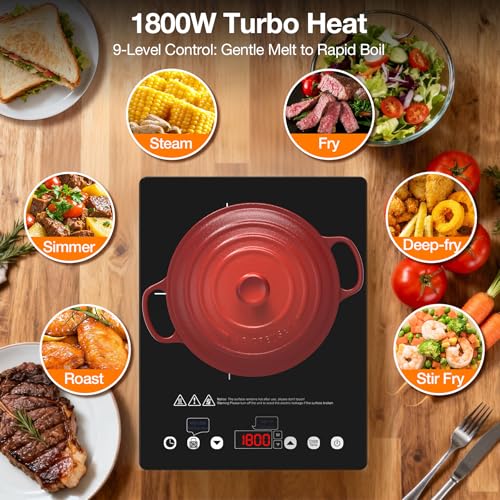 Portable Induction Cooktop 110v