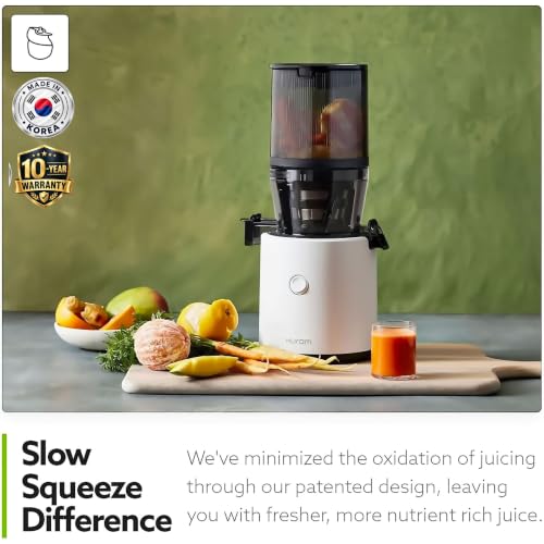 H320 Slow Juicer