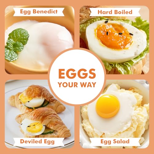 Egg Cooker Electric Rapid Egg Poacher for Hard Boiled Eggs