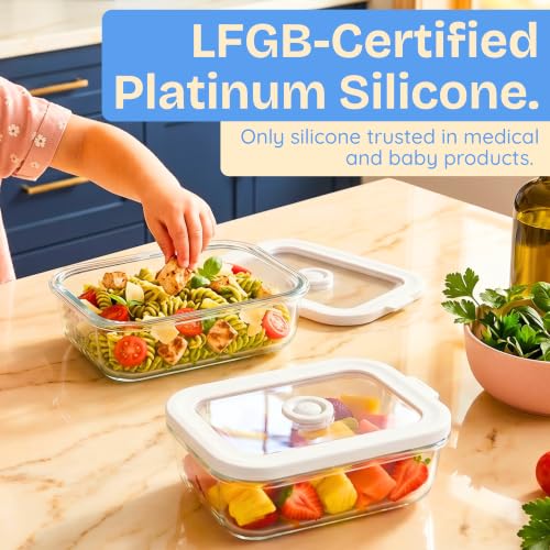 Non Toxic Glass Food Containers with Lids (Gray / Multi Size)