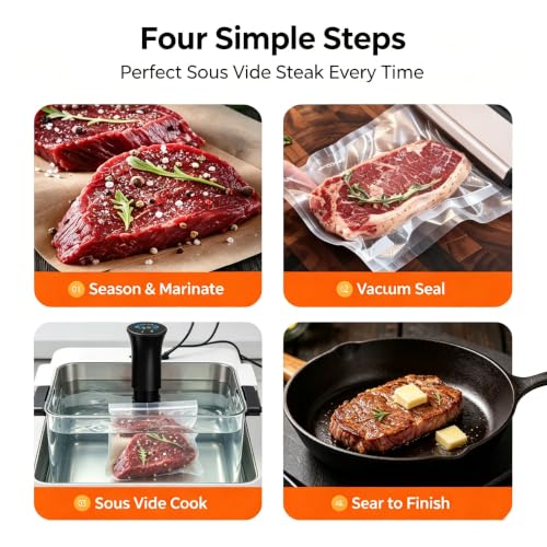 WiFi Sous Vide 1100W 220V (220V)