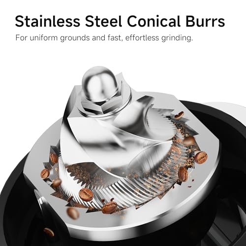 G7 Electric Coffee Grinder (Stainless Steel)