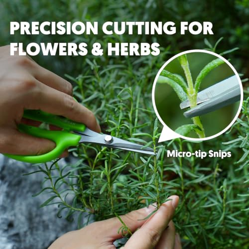 Garden Scissors