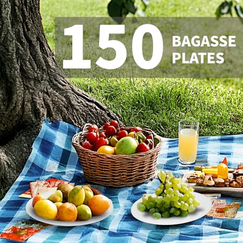 Compostable Paper Plates 9 Inch