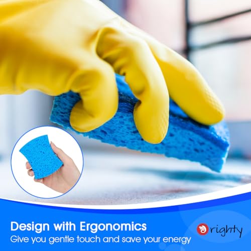 Sponges Powerful Scrubbing & Cleaning