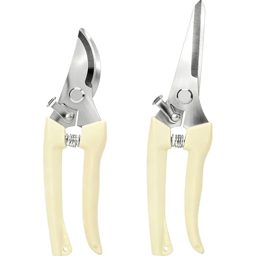 Pruning Scissors