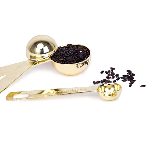 Gold Measuring Spoons (C - Gold / 6pcs)
