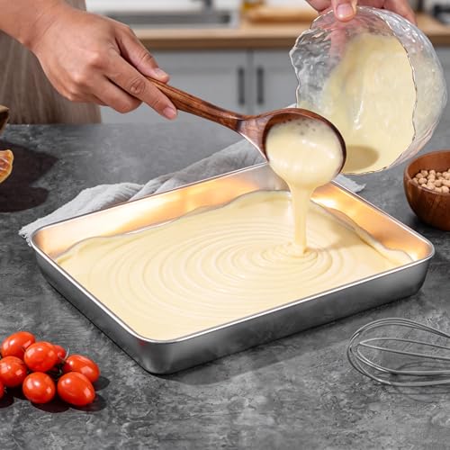 Stainless Steel Baking Pans Set