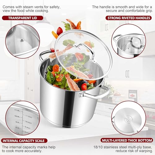Stainless Steel Stockpot